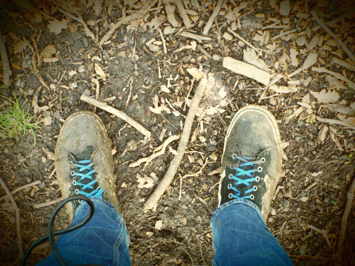 Regaining Passion for&nbsp;hobbies.